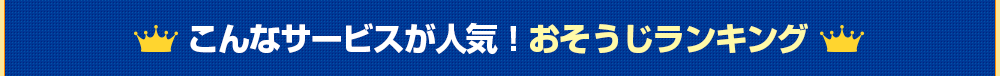 こんなサービスが人気！おそうじランキング